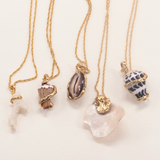 SEASHELL NECKLACE 02