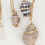 SEASHELL NECKLACE 04