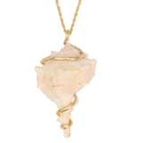 SEASHELL 08 NECKLACE