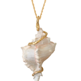 COLLAR SEASHELL 14