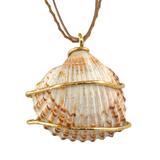 COLLAR SEASHELL 23