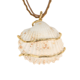 SEASHELL 12 NECKLACE