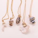 SEASHELL 06 NECKLACE